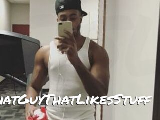 ThatGuyThatLikesStuff