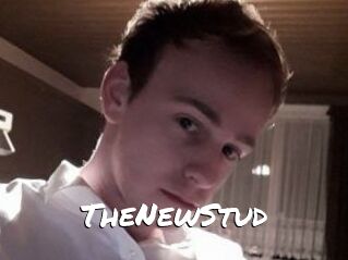 TheNewStud