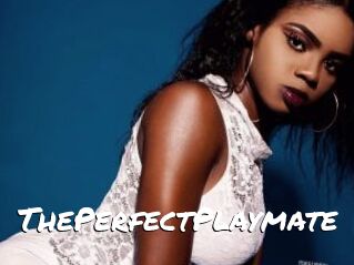 ThePerfectPlaymate