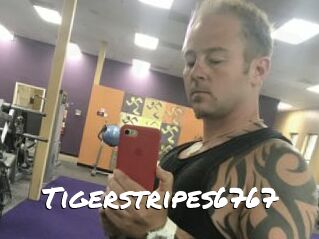 Tigerstripes6767