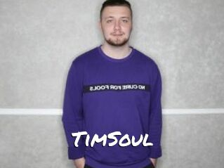 TimSoul