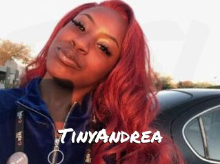 TinyAndrea