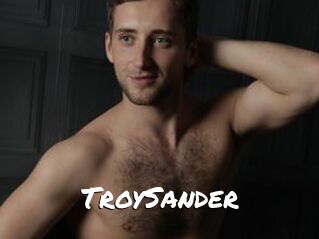 TroySander