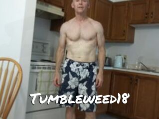 Tumbleweed18