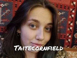 Taitecornfield