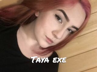Taya_exe