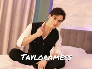 Tayloramess