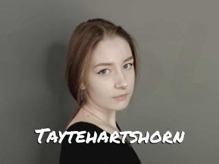 Taytehartshorn