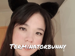 Terminatorbunny