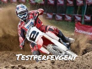 Testperfevgeny