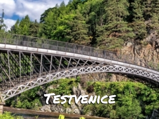 Testvenice