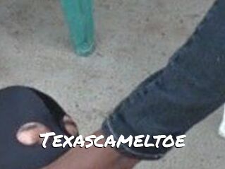 Texascameltoe