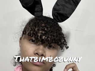 Thatbimbobunny