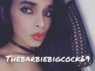 Thebarbiebigcock69