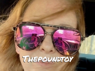 Thepoundtoy