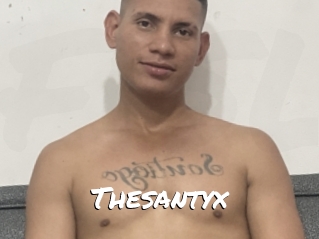 Thesantyx