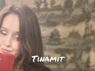 Tinamit