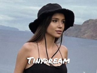 Tinydream