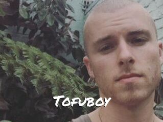Tofu_boy