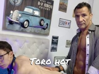 Toro_hot