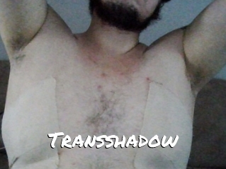 Transshadow