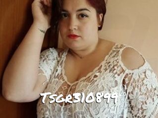 Tsgr310899