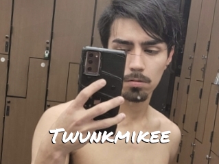 Twunkmikee