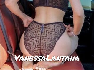 VanessaLantana