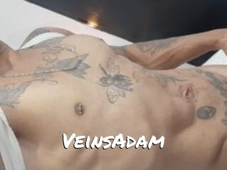 VeinsAdam