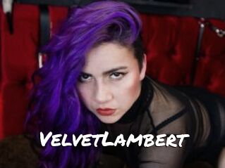 VelvetLambert