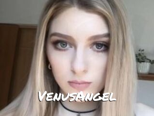 VenusAngel