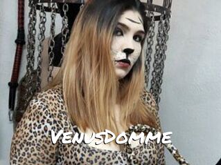 VenusDomme