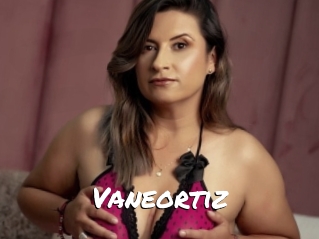 Vaneortiz