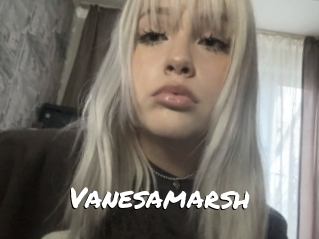Vanesamarsh