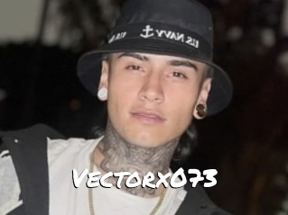 Vectorx073