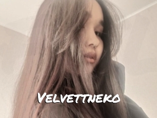 Velvettneko