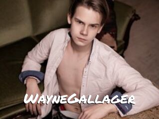 WayneGallager