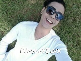 Wesley_Boix