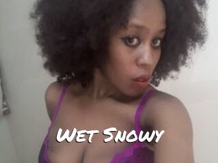 Wet_Snowy