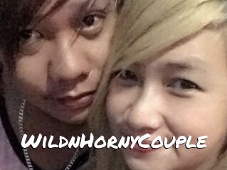 WildnHornyCouple