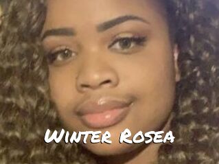 Winter_Rosea
