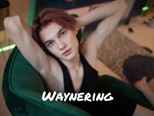 Waynering
