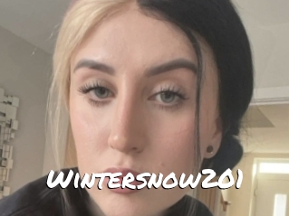 Wintersnow201