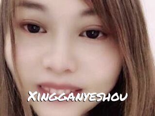 Xingganyeshou