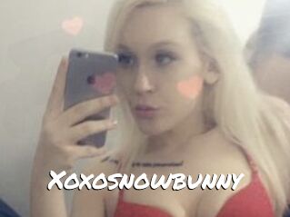Xoxosnowbunny