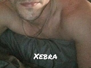 Xebra