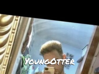 YoungOtter