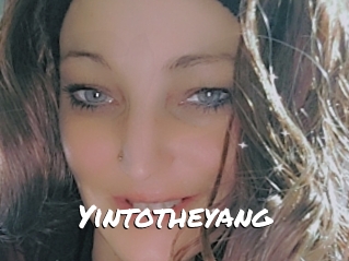 Yintotheyang