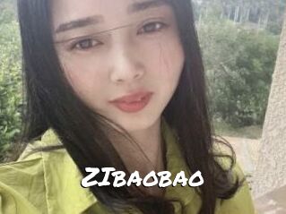 ZIbaobao