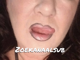 Zoekanaalsub